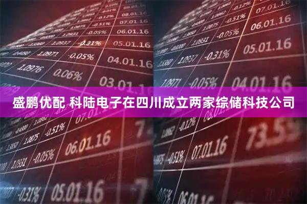 盛鹏优配 科陆电子在四川成立两家综储科技公司
