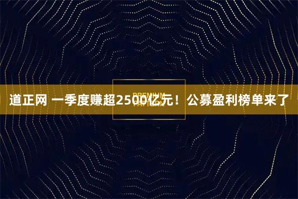 道正网 一季度赚超2500亿元！公募盈利榜单来了