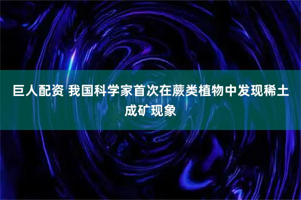 巨人配资 我国科学家首次在蕨类植物中发现稀土成矿现象